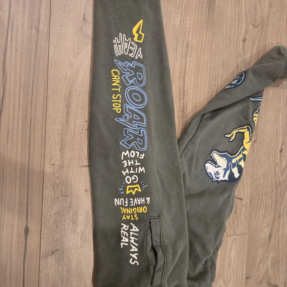 Toddler boys French Terry green dinosaur Joggers adjustable waist size 4